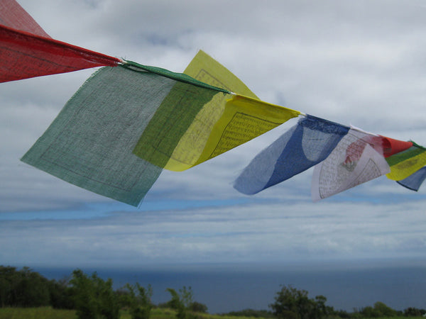 25 Small Tibetan Prayer Flags, polyester