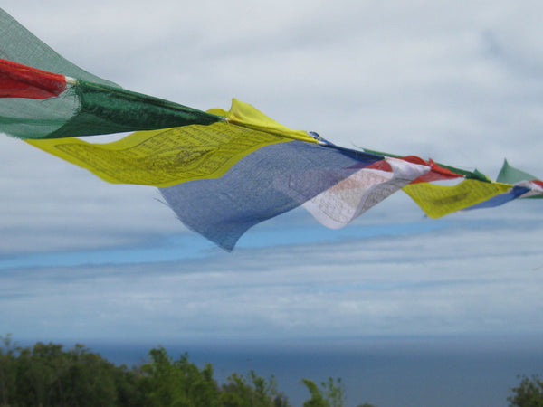 25 Small Tibetan Prayer Flags, polyester