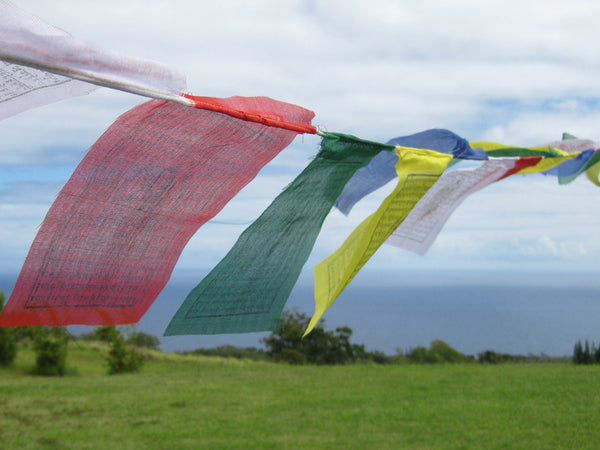 25 Small Tibetan Prayer Flags, polyester