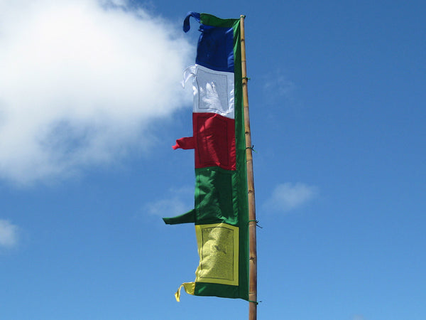 Vertical Tibetan Prayer Flags, Dar-cho, in  high quality cotton with a green border
