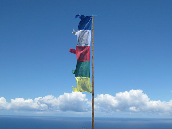 Vertical Tibetan Prayer Flags displaying Gyaltsen Semo, "Swift Accomplishment of Wishes"