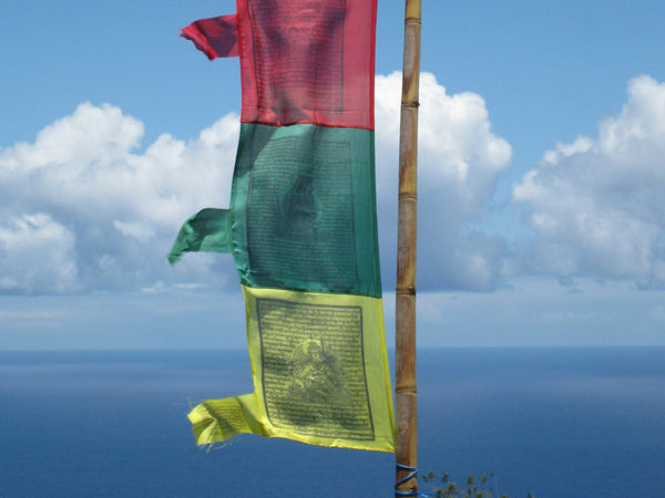 Vertical Tibetan Prayer Flags displaying Gyaltsen Semo, "Swift Accomplishment of Wishes"