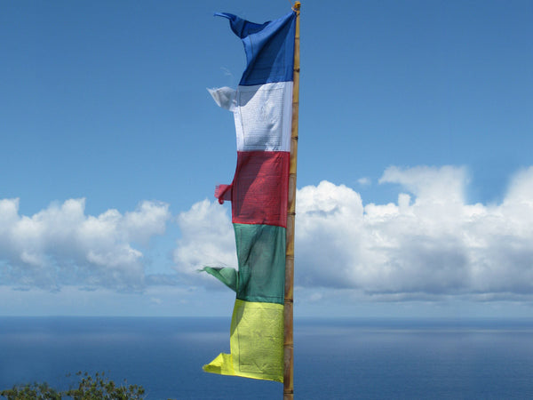 Vertical Tibetan Prayer Flags displaying the Windhorse "Victory Over Obstacles"