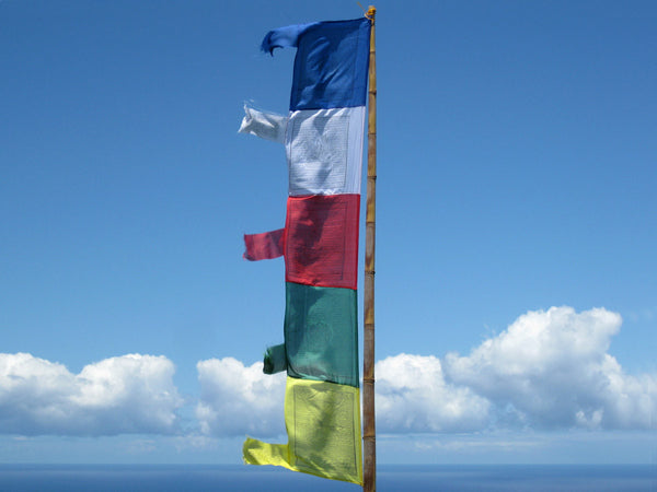 Vertical Tibetan Prayer Flags displaying the Windhorse "Victory Over Obstacles"