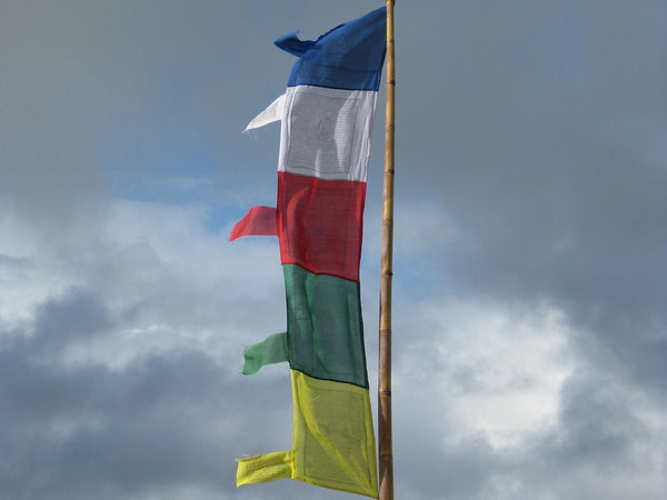 Vertical Tibetan Prayer Flags displaying the Windhorse "Victory Over Obstacles"