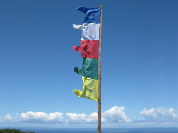 Vertical Tibetan Prayer Flags displaying the Windhorse "Victory Over Obstacles"