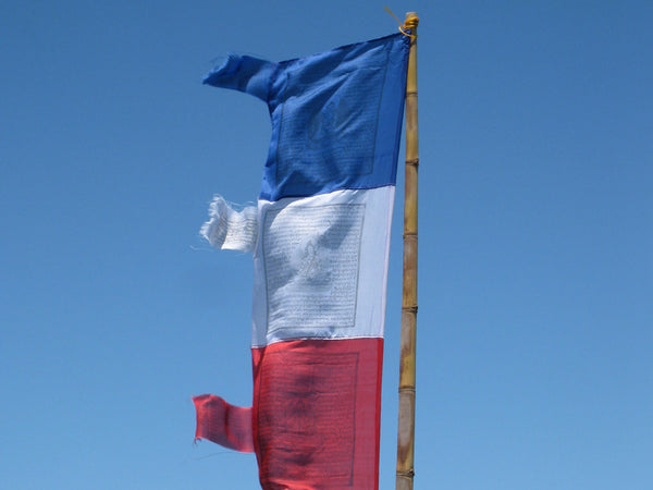 Vertical Tibetan Prayer Flags displaying the Windhorse "Victory Over Obstacles"