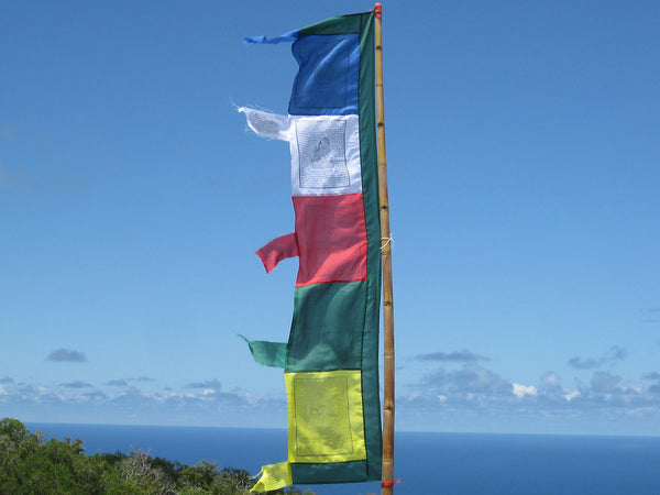 Vertical Tibetan Prayer Flags displaying the Windhorse "Victory Over Obstacles"